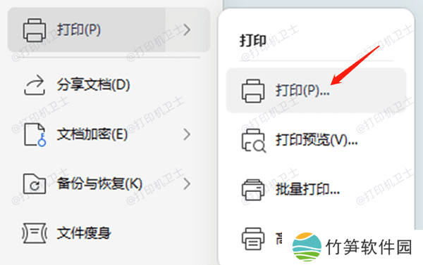 查找打印选项