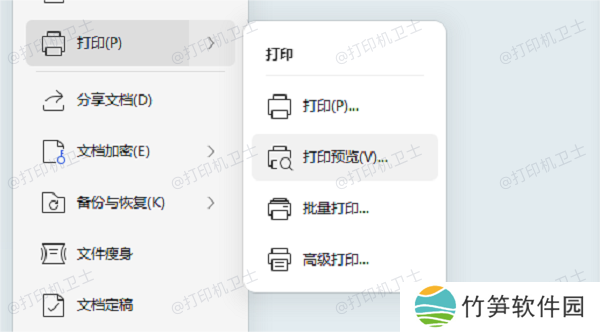 使用打印预览功能