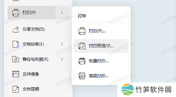 Microsoft Word中的打印预览 Microsoft Word中的打印预览